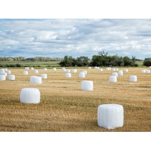 0SİLAJ STRECİ 75CM*1500 MT 0,25 MİCRON (FİLAFİL)  (FİYATA NAKLİYE DAHİLDİR.) EN UCUZ FİYAT